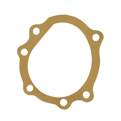 Water Pump Backplate Gasket