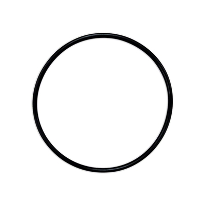Distributor Dust Cover O-Ring, 14460580