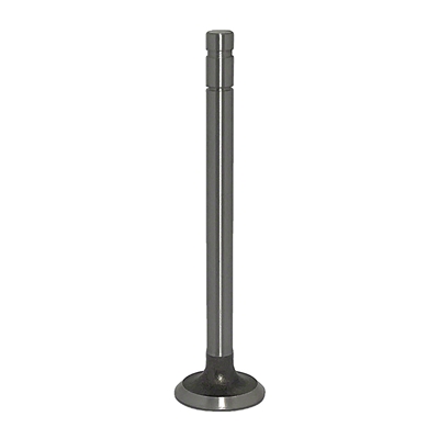 Exhaust Valve