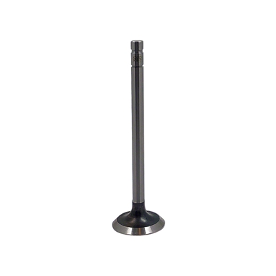 Exhaust Valve