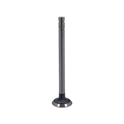 Exhaust Valve