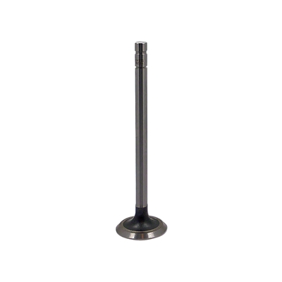 Exhaust Valve