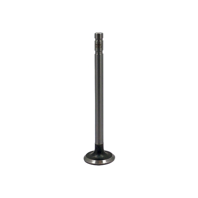 Exhaust Valve