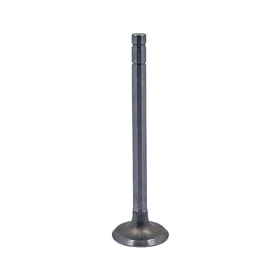 Intake Valve