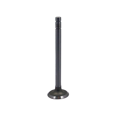 Intake Valve