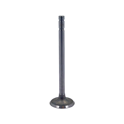 Intake Valve