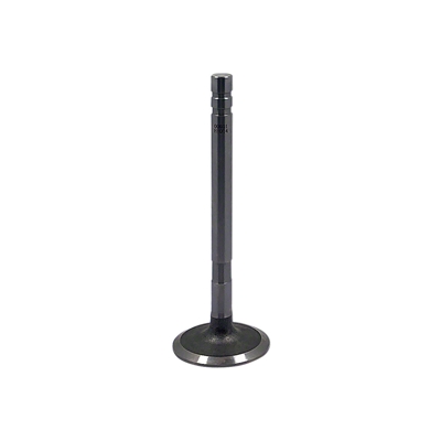 Intake Valve