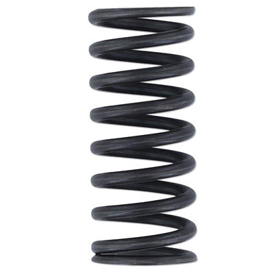Valve Spring