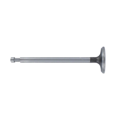 Intake Valve
