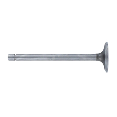 Intake Valve
