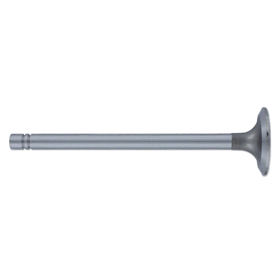 Intake Valve