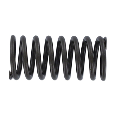 Valve Spring
