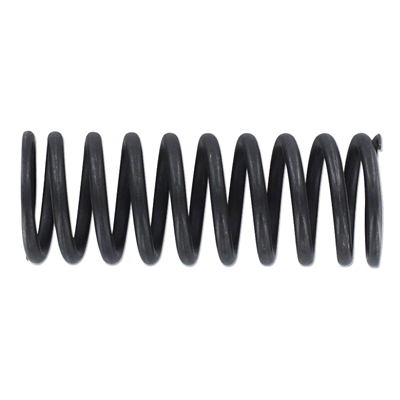 Valve Spring