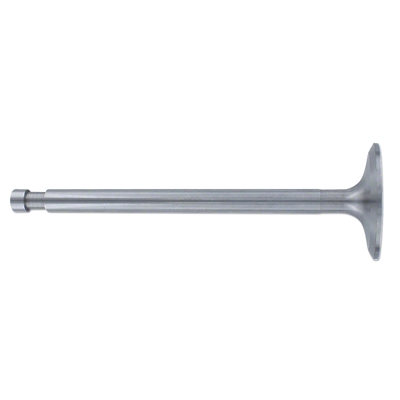 Intake Valve