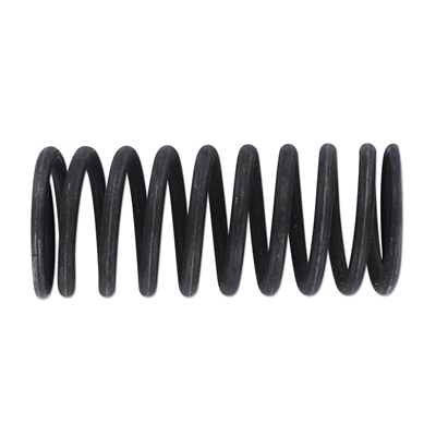 Valve Spring