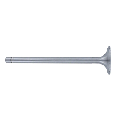 Intake Valve