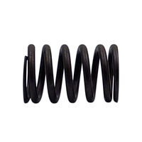 Valve Spring