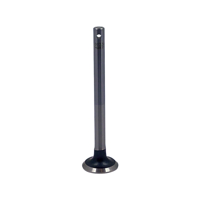 Intake/Exhaust Valve