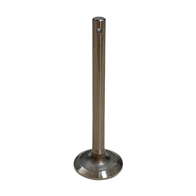 Intake Valve