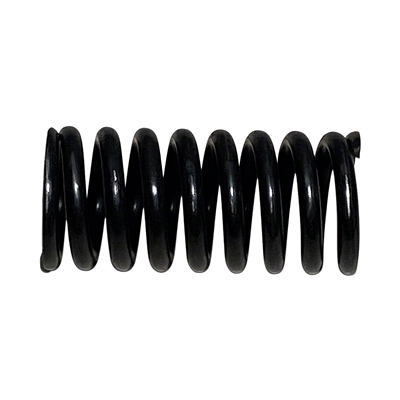 Valve Spring