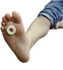 callus pads, oval shaped foot pads