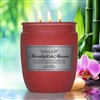 photo of Nutra-LiftÂ® MOONLIGHT in MURANO Organic Soy Aromatherapy Candle 22 oz