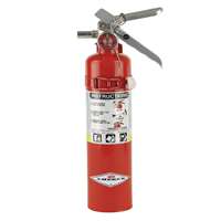 Amerex fire extinguisher, part number B417T.