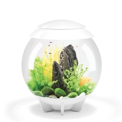 BIORB HALO 30 AQUARIUM WITH MCR LIGHT - 8 GALLON, WHITE UPC 822728484753