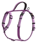 THE COMPANY OF ANIMALS PURPLE MEDIUM HALTI WALKING HARNESS (CHEST 22" - 30")  UPC 886284172516