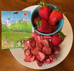 FREEZE DRIED STRAWBERRY TREATS FOR SMALL ANIMALS