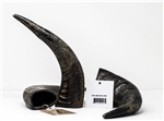 EXTRA LARGE BUFFALO HORN