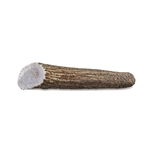 ANTLER LARGE WHOLE - 7"