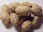 ** OUT OF STOCK **MOYER PEANUTS IN SHELL FANCY 25#  UPC 047659363254