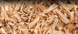 ** OUT OF STOCK **PESTELL EASY CLEAN ASPEN 113L SHAVINGS  UPC 068328800405