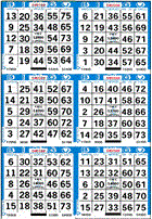 6 ON Bingo Paper