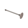 Intake Valve - Vanagon 83-92