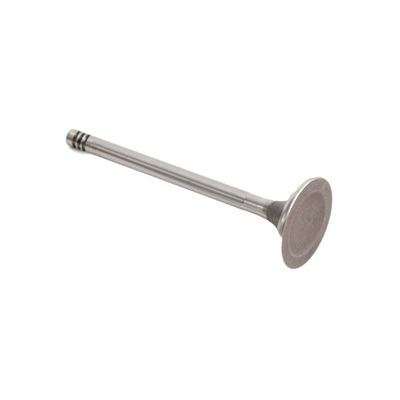 Intake Valve - Vanagon 83-92