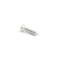 Screw for Sliding Door Threshold - Countersunk Head Self Tapping - 3.9x22mm - Vanagon Westfalia