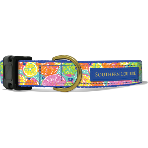 SC Dog Collar Citrus