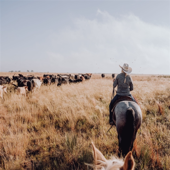 Cowboy Corral and Cattle Gathering