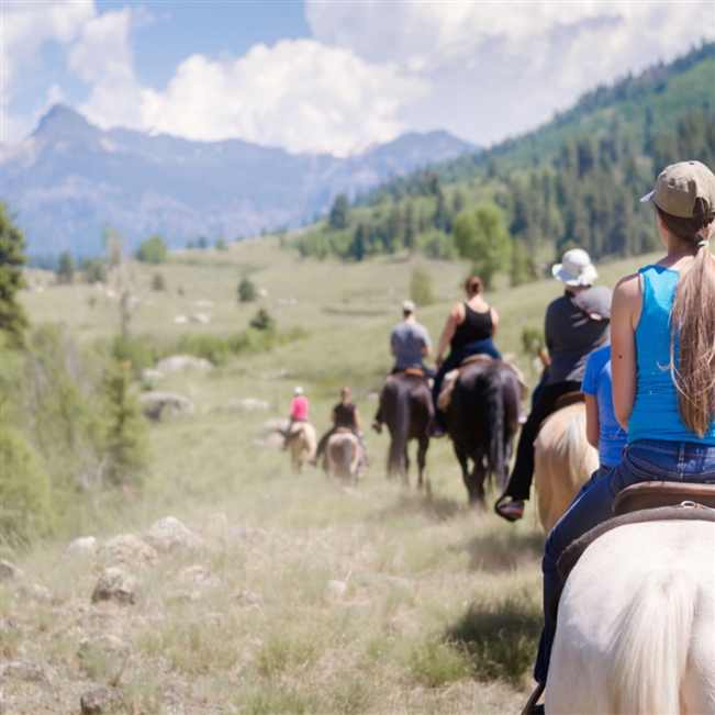 Afternoon ride and country picnic