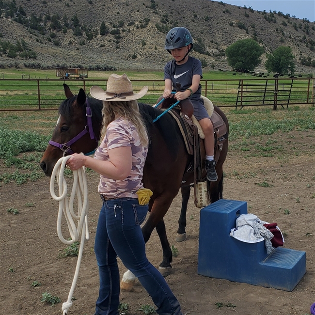Pony Ride or Horse Therapy