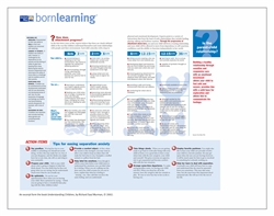 <span style="font-weight: bold;"><br><br>30366   Born Learning  Understanding Children - How important is the Parent Child Relationship  </span>  <br><ul>