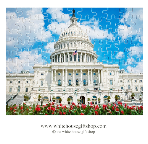 The Capitol Building, 110 Piece Jigsaw Puzzle, Made in USA!