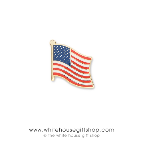 America Flag Pin with Banner Wave