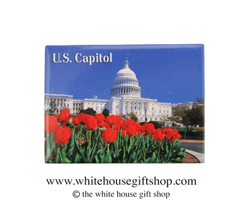 The U.S. Capitol, Magnet, Washington DC with Flowers