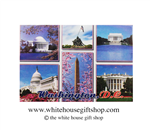 Washington D.C. Monuments Magnet