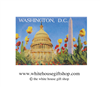 Washington D.C. Monuments, Magnet,