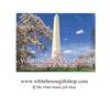 Washington Monument Magnet, Washington D.C.