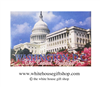 The U.S. Capitol Building Magnet, Washington D.C.